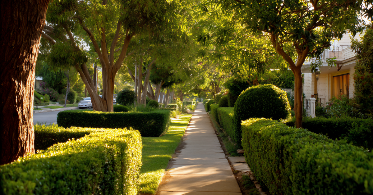 newly constructed neighborhood with lush greenery