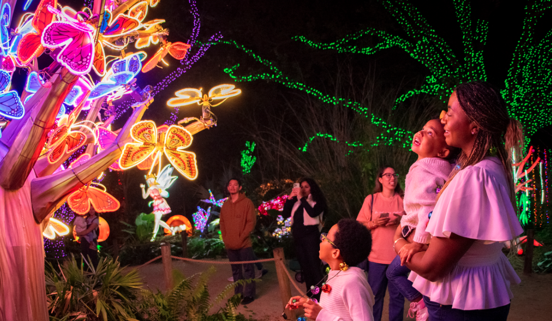 Make the Most of Your Holiday Season in Angleton: 11 Can’t-Miss Events