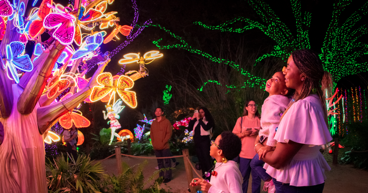 Houston Zoo lights events