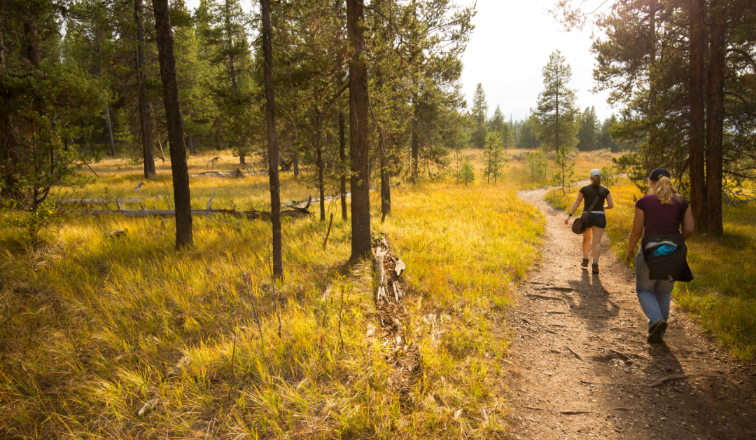 The Best Hiking Trails and Outdoor Spots Near Angleton, TX