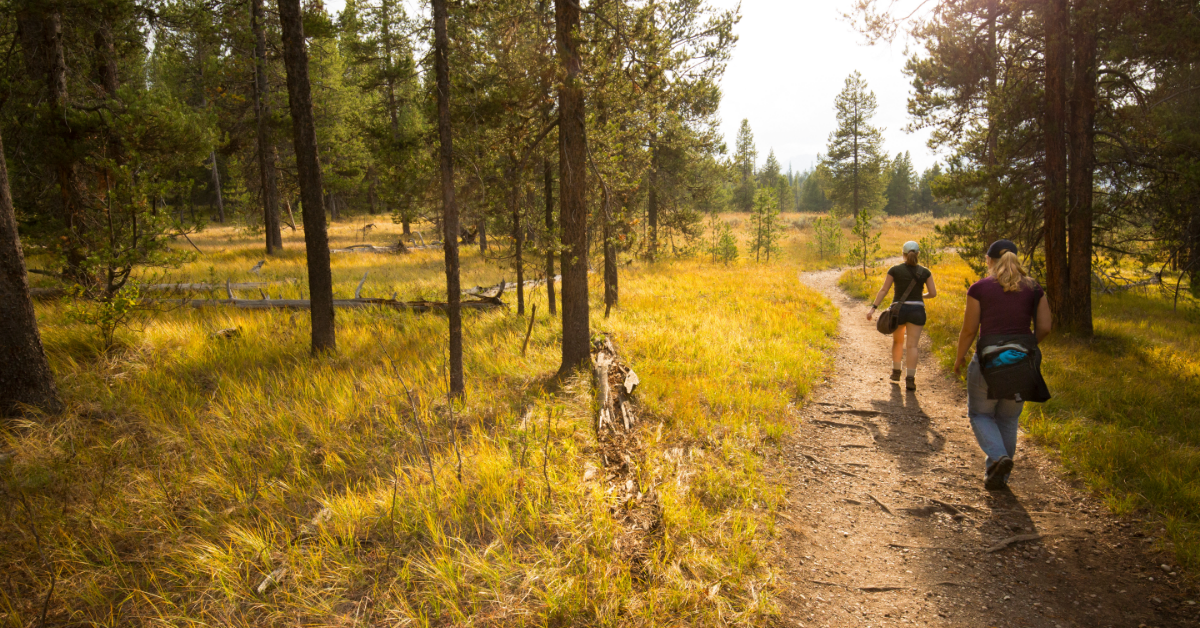 AG Blog – January – Featured Image outdoor trail in Brazoria County