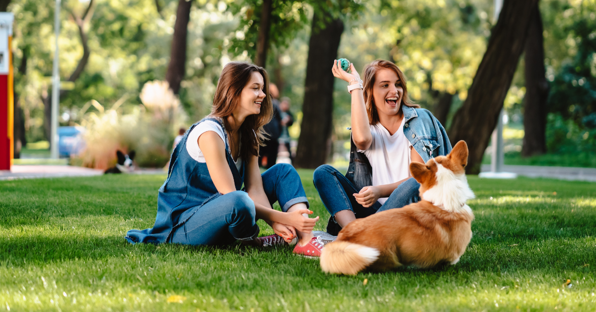 a family in a park with their dog